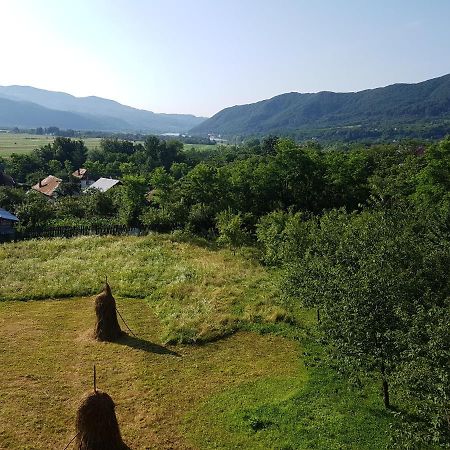Pensiunea Adeluta Apartament Călimăneşti Zewnętrze zdjęcie