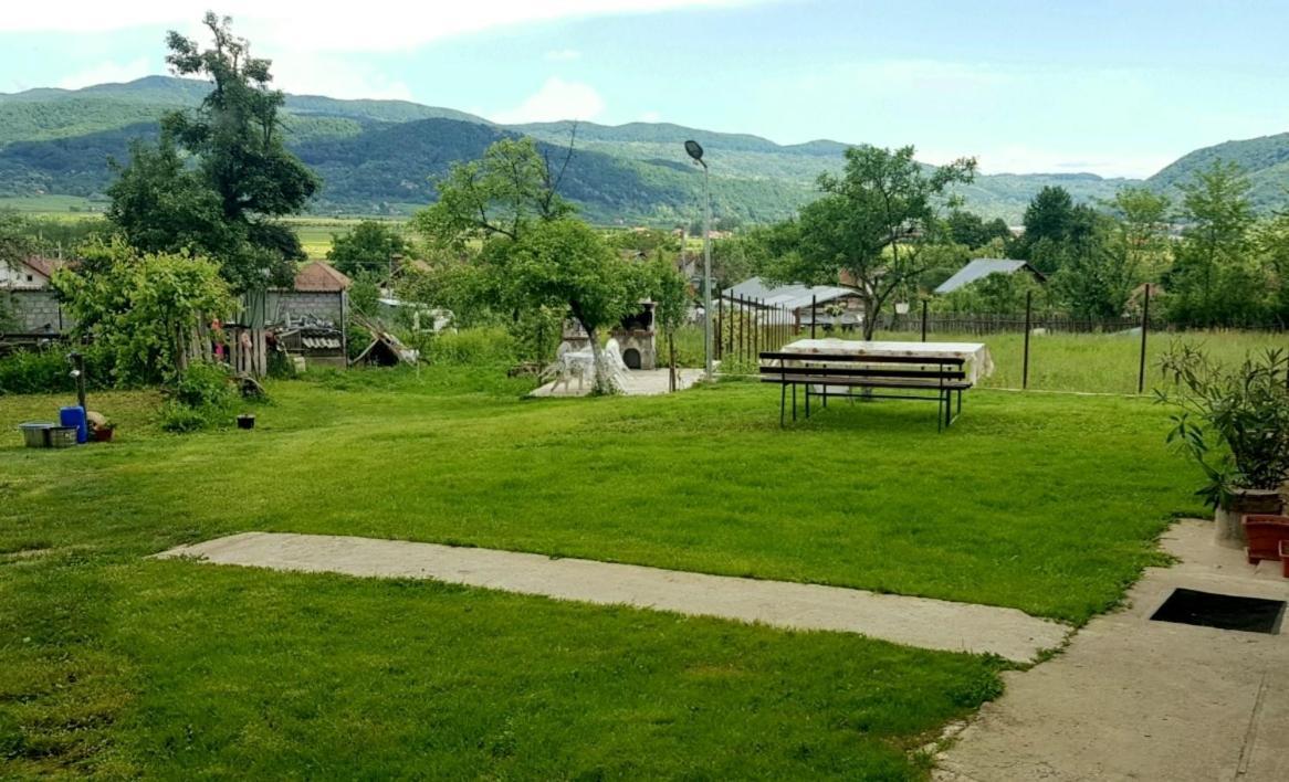 Pensiunea Adeluta Apartament Călimăneşti Zewnętrze zdjęcie
