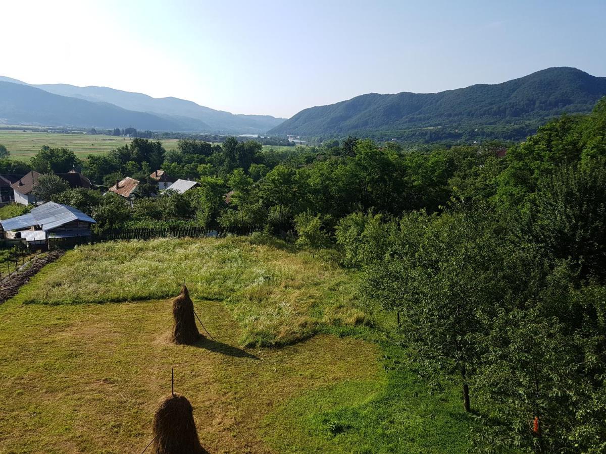 Pensiunea Adeluta Apartament Călimăneşti Zewnętrze zdjęcie